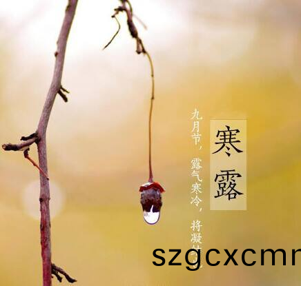 寒(han)露至，鞦意濃