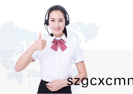 普賽(sai)特(te)服(fu)務(wu)優(you)勢